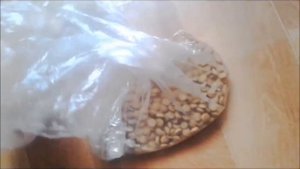 Мышь не ловится в мышеловку?The mouse is not caught? What should I do? Решение есть!