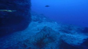 Арка Эльфинстоуна