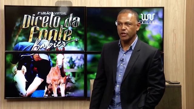 Despedida a El Shady Zorrero e a valorização do Quarto de Milha nacional смотреть онлайн