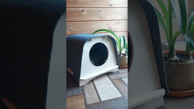 Домик для кошек и собак TeddyRoom Mojo #домикдлясобаки #домдлякота #домикдлякошки #мебельдляживотных смотреть онлайн