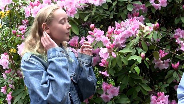 Environmental Studies Solution Project смотреть онлайн