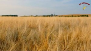 Как блаженный Андрей побывал в Раю