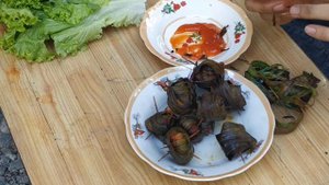 Дикая еда во Вьетнаме /غذای وحشی در ویتنام