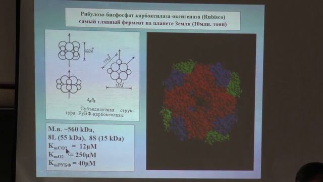 Лекция 6. Фотосинтез 3