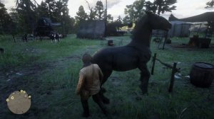Удар лошади в Red Dead Redemption 2