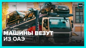 Выгодно ли покупать авто у арабов? – Москва 24