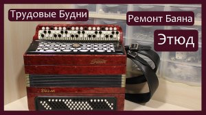 Трудовые будни / Ремонт Баяна "Этюд - 205м"