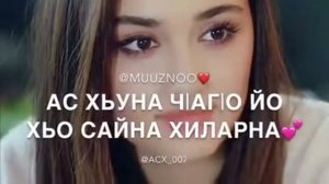 Асхаб Вахарагов New 2018