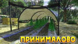 Беспредел на Ферме GTA 5 RP