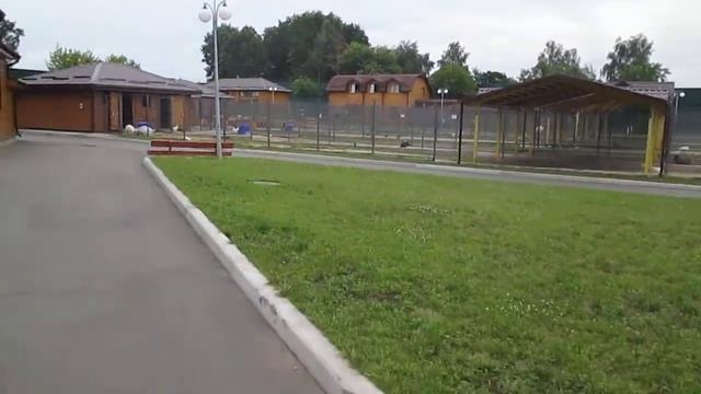 Межигір'я, зоопарк (олені, барани) Україна, Нові Петрівці смотреть онлайн