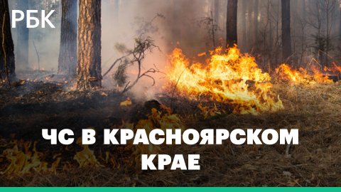 Огонь уничтожает целые населенные пункты. Лесные пожары в Красноярском крае