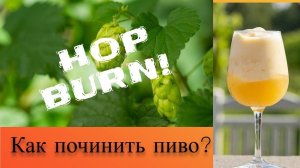 HOP BURN или горящее горло от охмеленки!!Как избавится?!