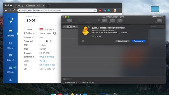 [macOS] ProfitBot – Загрузка файлов бота на сервер/Uploading files on the server