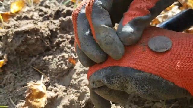 Копаем монеты! Интересное в конце ! смотреть онлайн