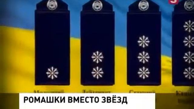 Ромашки на плечах Последние Новости Украины Сегодня 2015