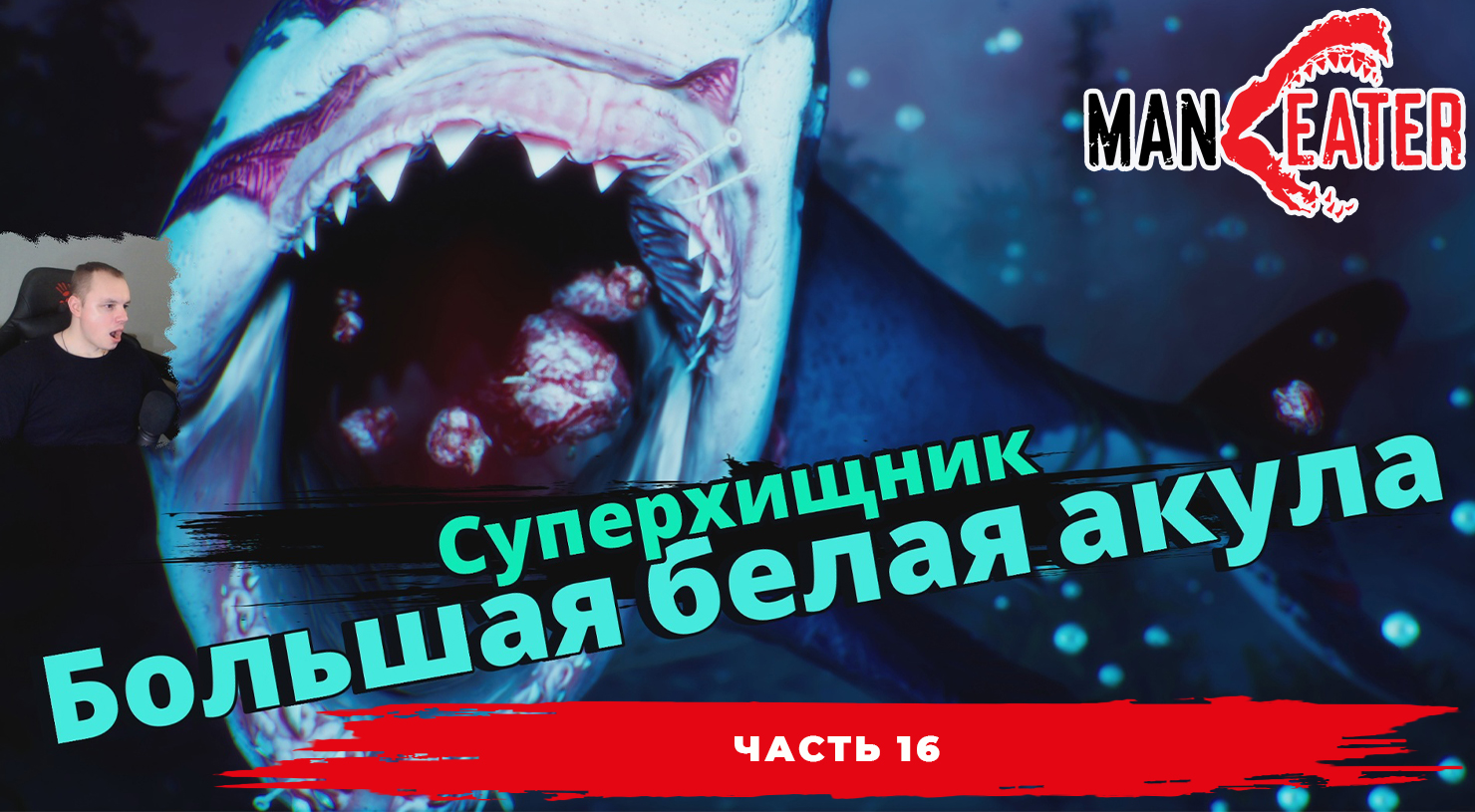 Maneater ➤ Часть 16 ➤ Суперхищник большая белая акула ➤ Симулятор Акулы ➤ Прохождение игры МенИтер