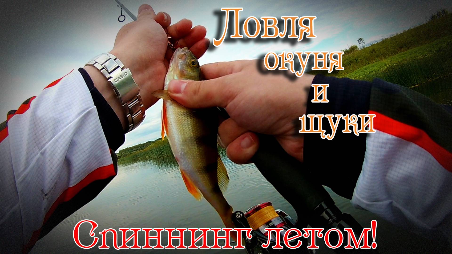 Рыбалка на Угре. Ловля окуня и щуки на спиннинг летом