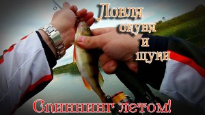 Рыбалка на Угре. Ловля окуня и щуки на спиннинг летом