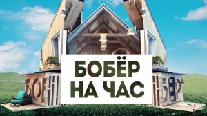 Смотри программу «Бобёр на час» в эфире телеканала "Бобёр"