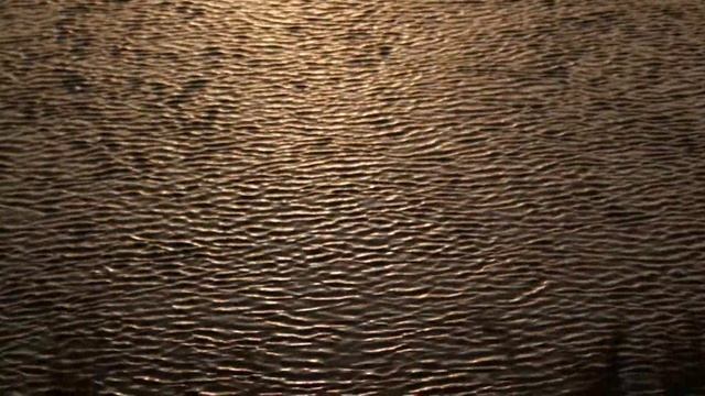 Canon eos 77D смотреть онлайн