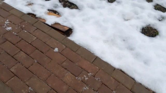 Недорогая садовая дорожка из брусчатки, первая зимовка.