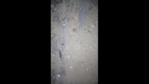 Открытие сезона 2023. Первый коп. Камрад советам рад!