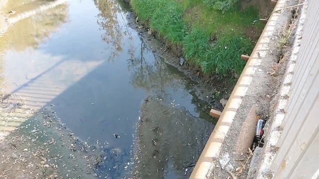 Как похорошела Борзовка смотреть онлайн