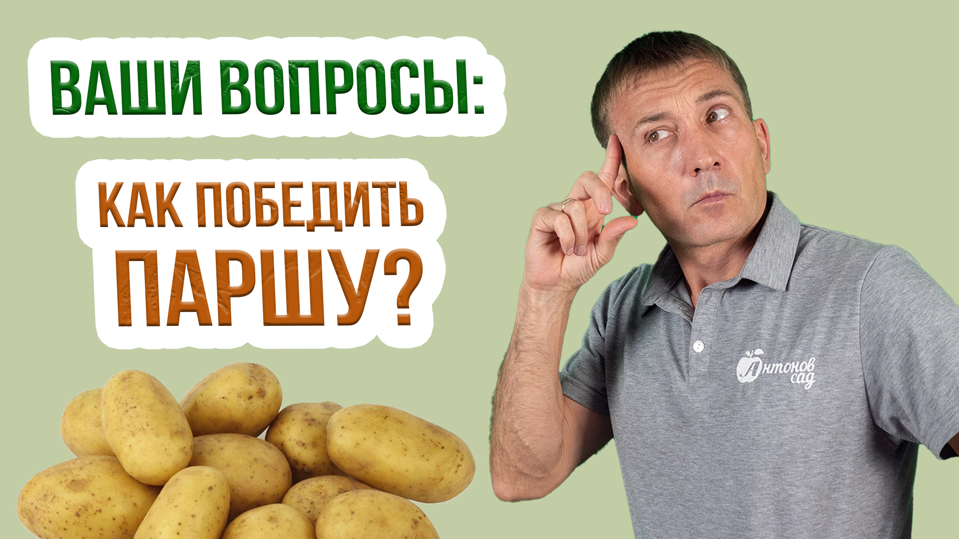 Парша на картофеле - как лечить землю?  Методы борьбы с паршой картофеля