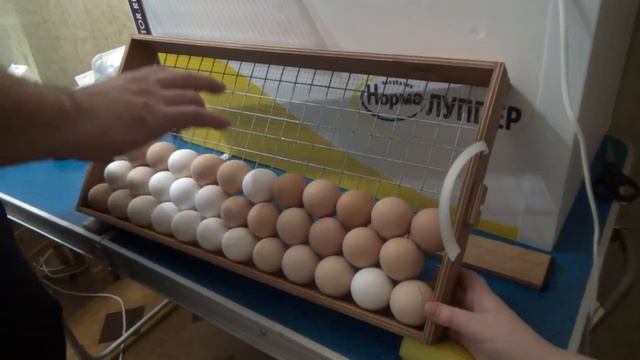 Инкубация яиц несушек в инкубаторе Норма "ЛУППЕР" | закладка яиц | пуск инкубатора