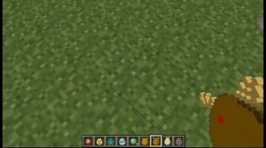 НОСОРОГ В МАЙНКРАФТЕ ! :D ОБЗОР МОДОВ МАЙНКРАФТ