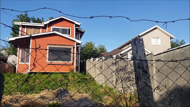 Дома чилийцев: современные и древние. Стая лебедей в чилийском небе смотреть онлайн