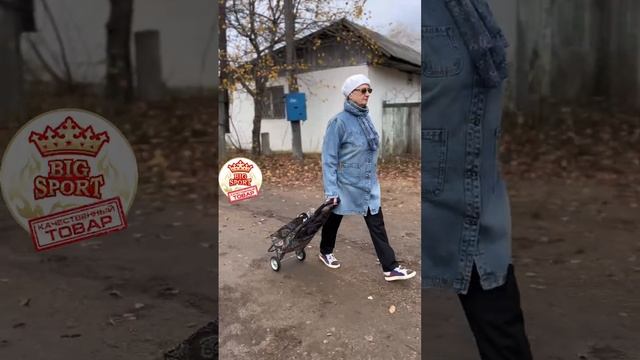 Сумка на колесах СУПЕР смотреть онлайн