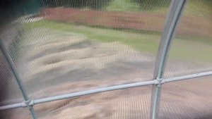 Теплица из полипропиленовой трубы