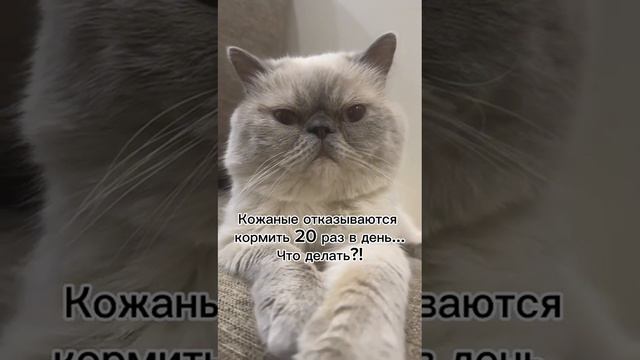 Что делать?