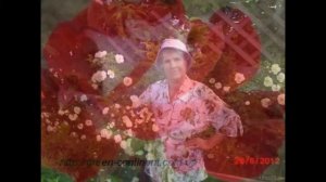 Мои любимые цветы на даче фото розы продолжение следует