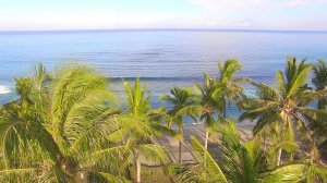 #2.Музыка для расслабления и медитации.Шум моря.Звук леса.#шумморя#медитация#музыка#релаксация