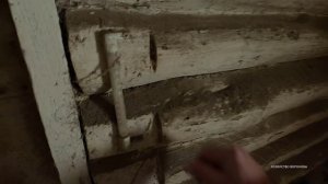 Лампа в курятнике для тепла. Рассказываю