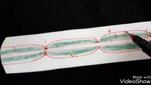 строение нервного волокна