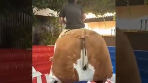 Very funny hilarious down syndrome kid having fun on a electronic rodeo bull ride
