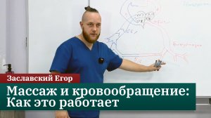 Массаж и кровообращение: Как это работает. Заславский Егор