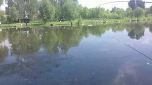 Левобережный платный пруд