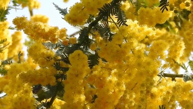 21  июня День Солнцестояния. Как привлечь удачу и денежное благополучие. Ритуал на кошелёк и монету