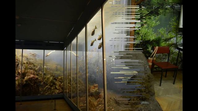 Краеведческий музей, г.Мурманск смотреть онлайн