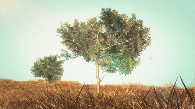 Gold growing in eucalyptus trees in Australia смотреть онлайн