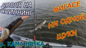 ДЖИГ, ТЕЙЛ-СПИННЕР, КОЛЕБЛО. СУДАК И ЖЕРЕХ. Мы ДОВОЛЬНЫЙ, но дождь.