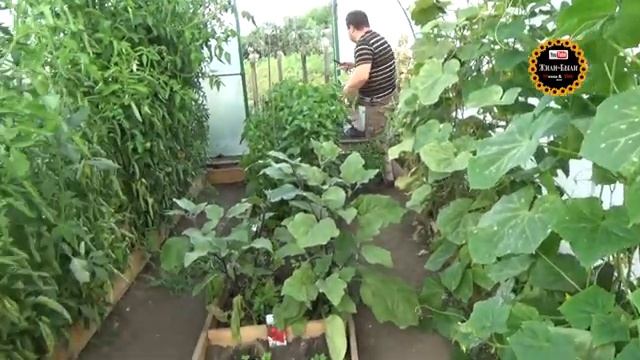 Как воплотить мечту в жизнь? Психологический тренинг)) О прекрасном! смотреть онлайн