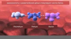 17.02.2022 Здравый смысл в неотложной детской хирургии