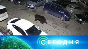 «Сегодня»: 28 октября 2023 года. 16:00 | Выпуск новостей | Новости НТВ