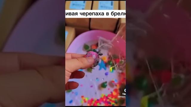 Брелок с ЖИВОЙ ЧЕРЕПАХОЙ