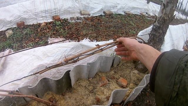 Укрытие винограда на зиму.Новый способ!!! смотреть онлайн